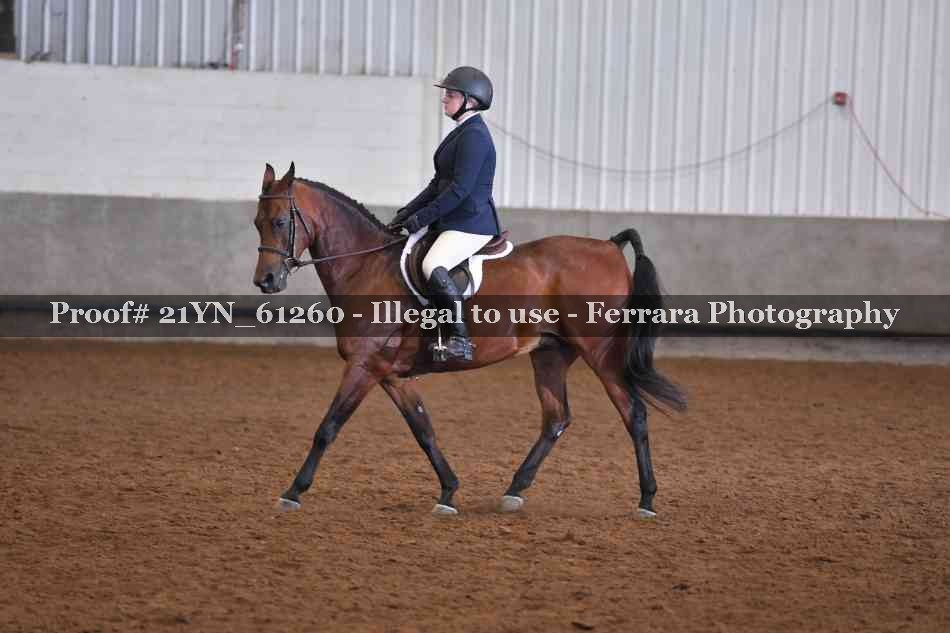 Proof 21YN_61260
