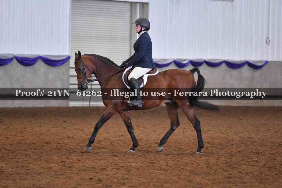 Proof 21YN_61262