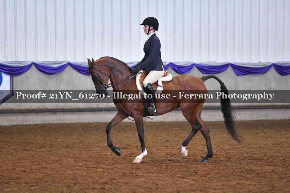 Proof 21YN_61270