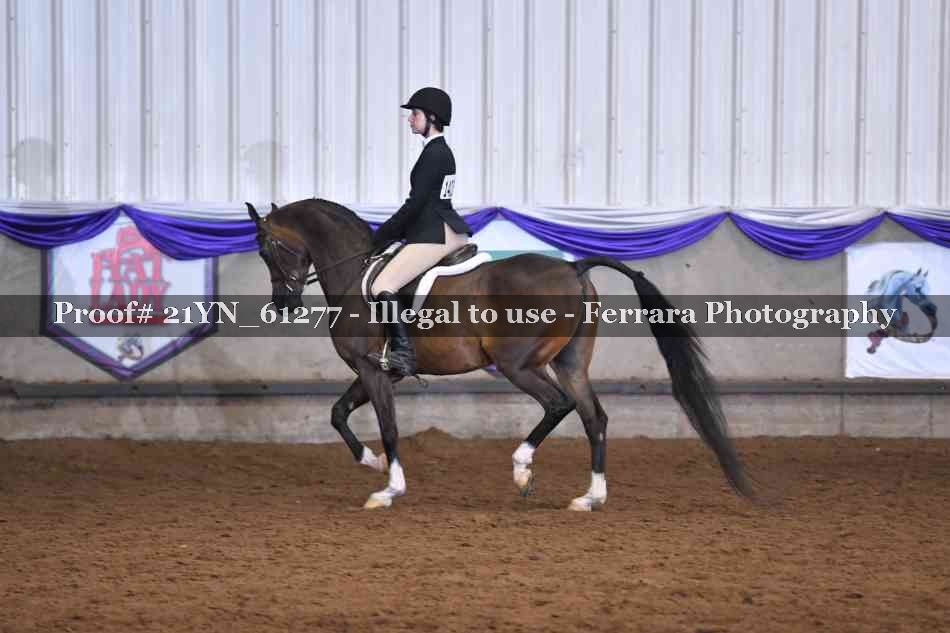 Proof 21YN_61277
