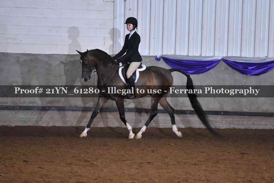 Proof 21YN_61280