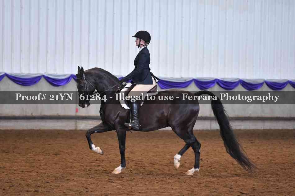 Proof 21YN_61284