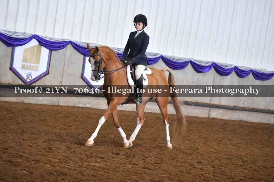 Proof 21YN_70646
