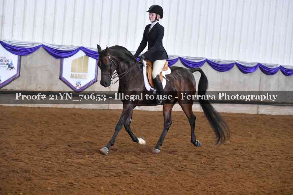 Proof 21YN_70653
