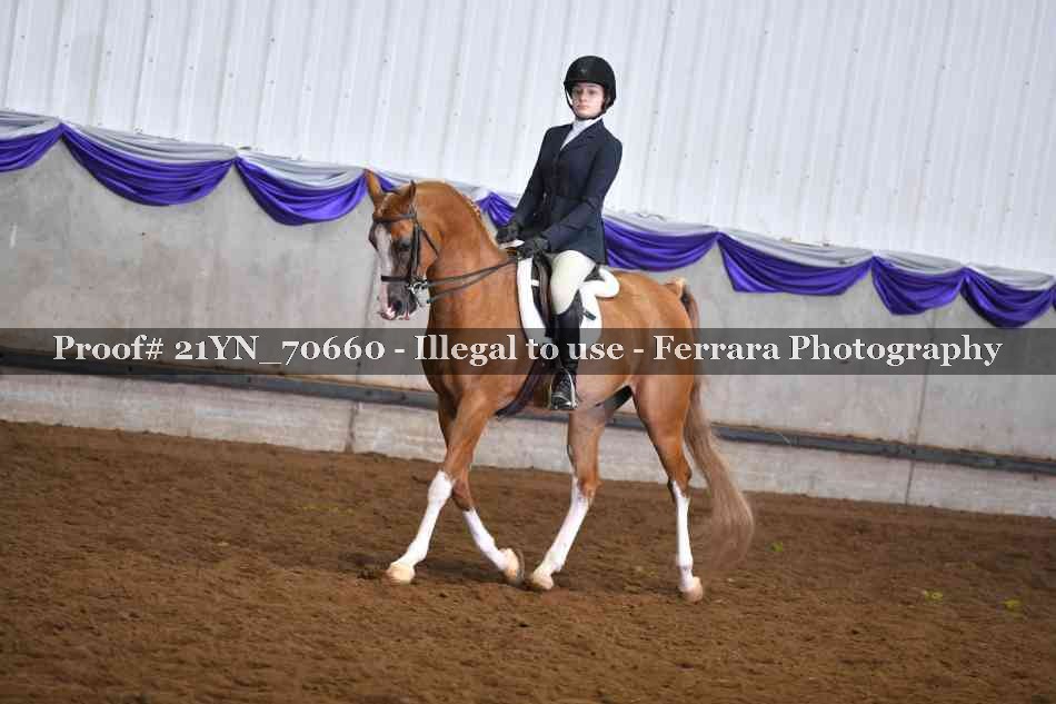 Proof 21YN_70660