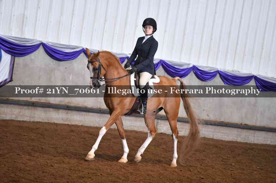 Proof 21YN_70661