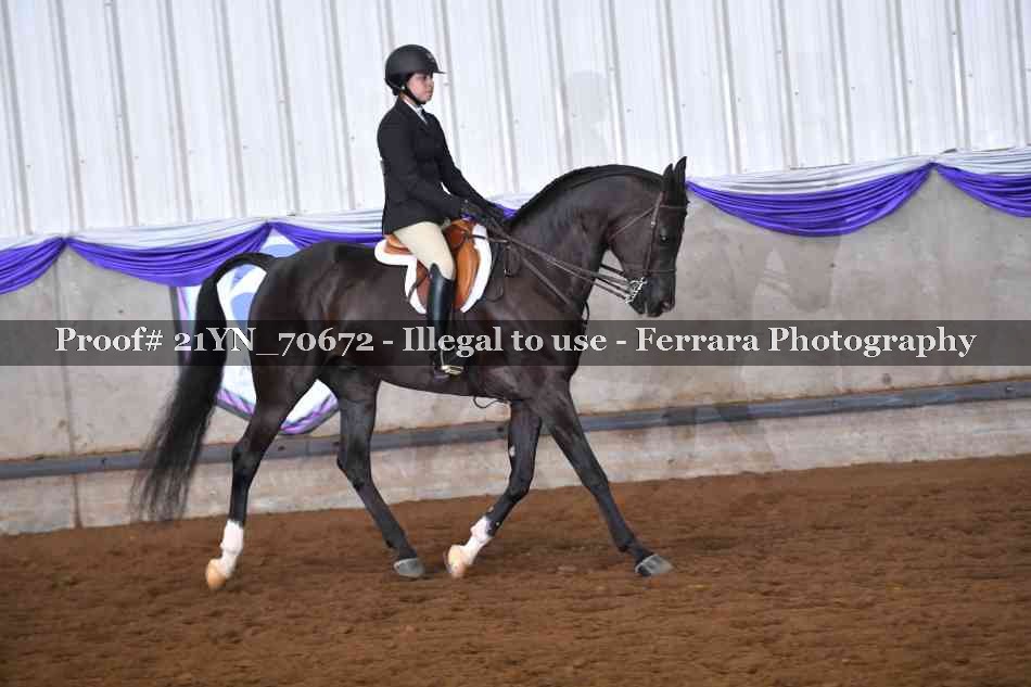Proof 21YN_70672
