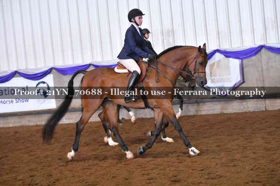 Proof 21YN_70688