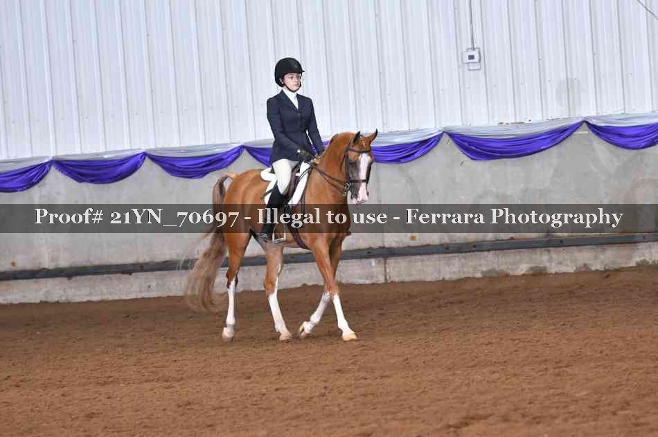 Proof 21YN_70697