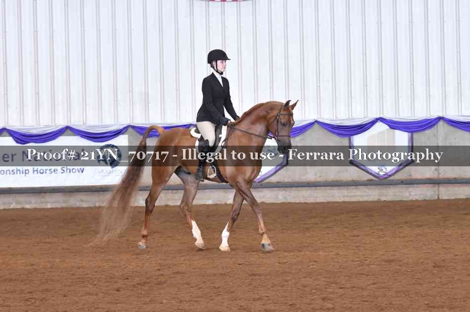Proof 21YN_70717