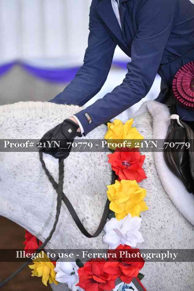 Proof 21YN_70779