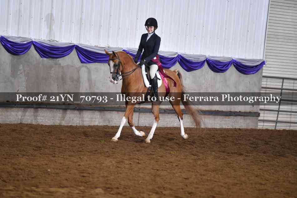 Proof 21YN_70793