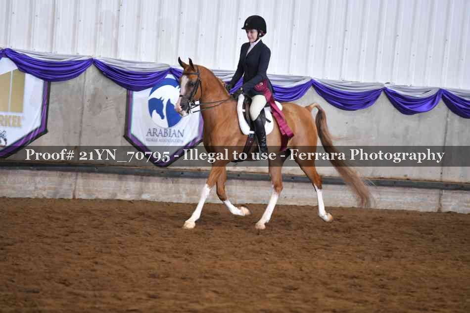 Proof 21YN_70795