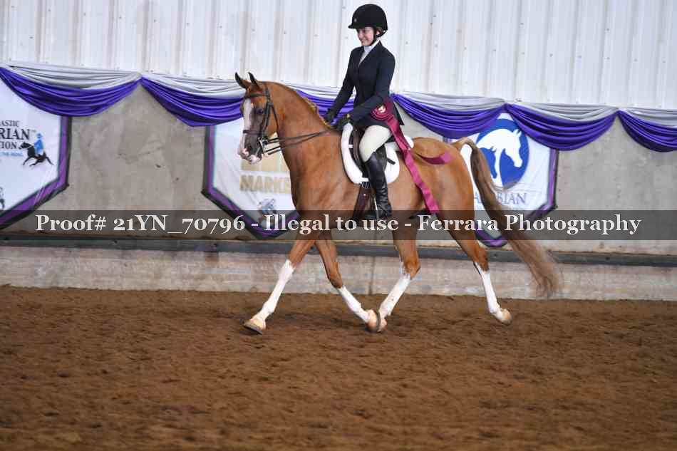 Proof 21YN_70796