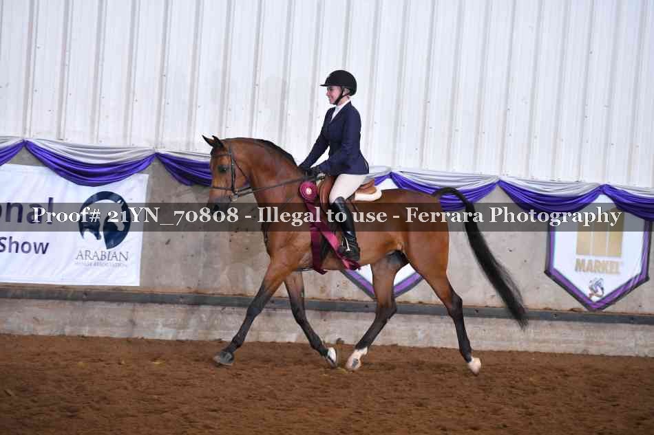 Proof 21YN_70808
