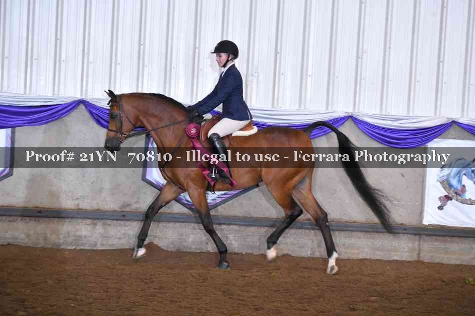 Proof 21YN_70810