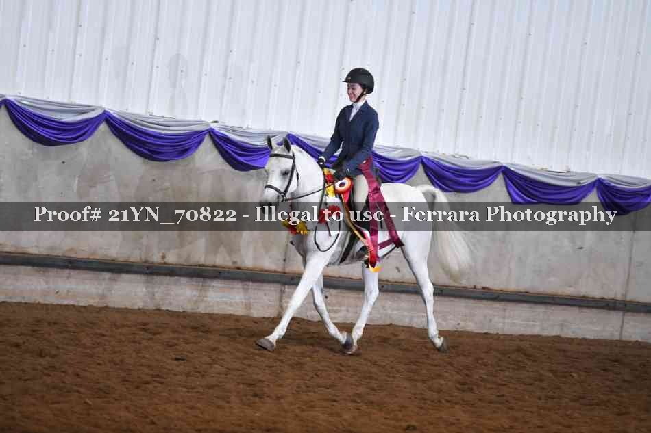 Proof 21YN_70822