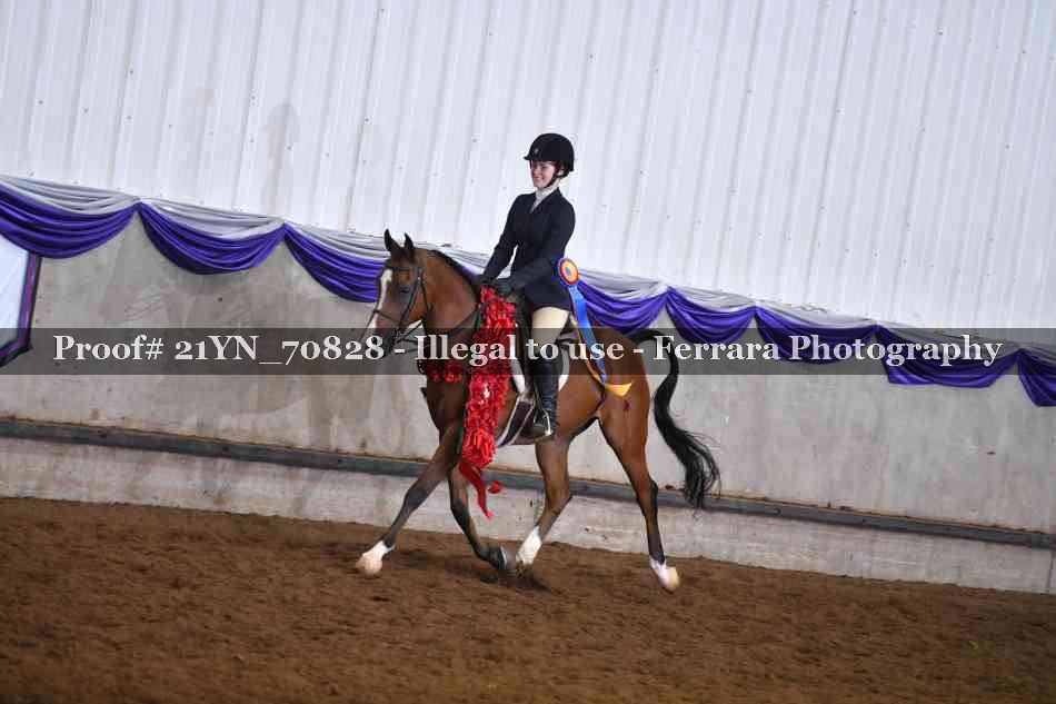 Proof 21YN_70828