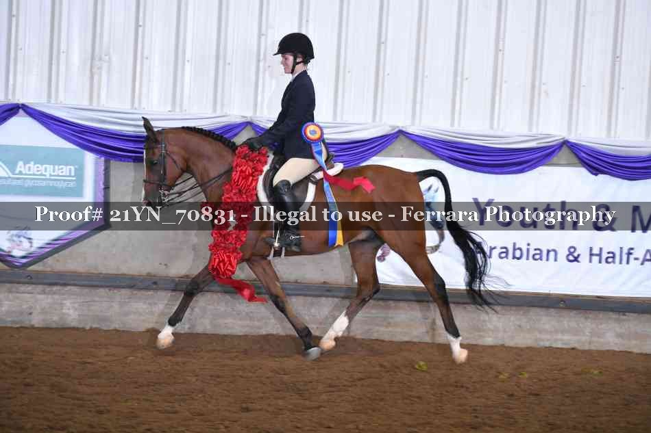 Proof 21YN_70831