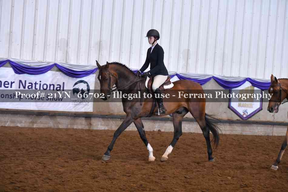 Proof 21YN_66702