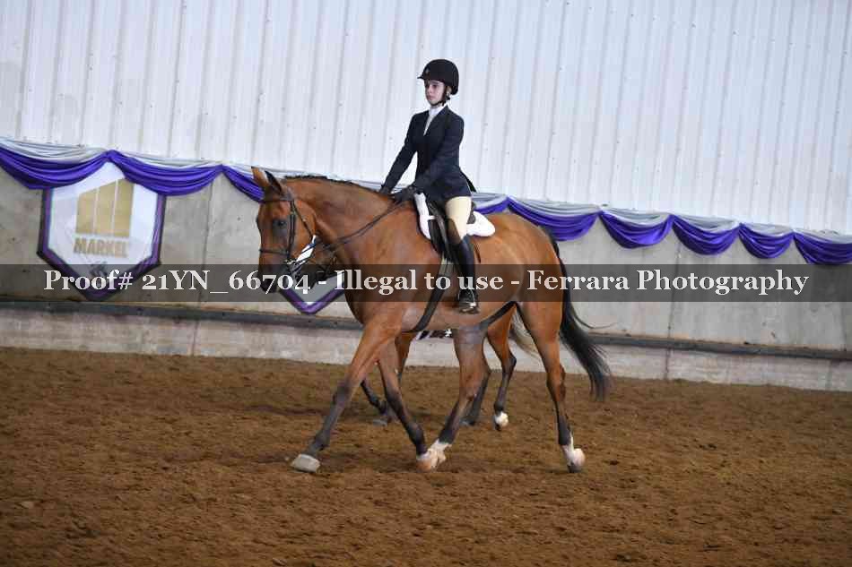Proof 21YN_66704