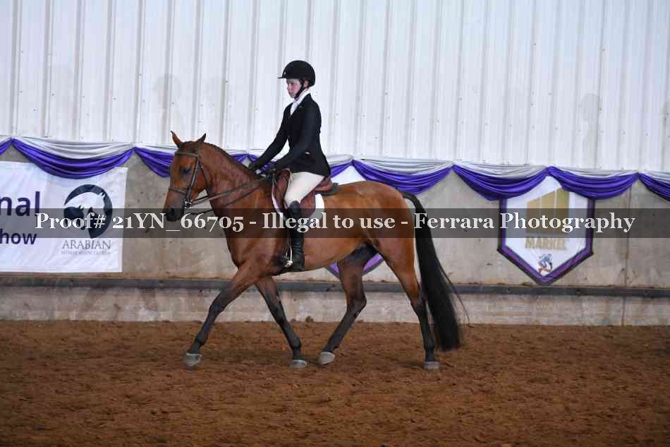 Proof 21YN_66705