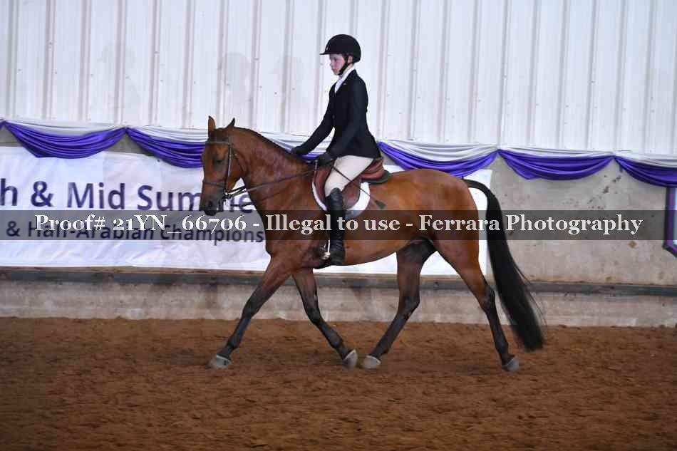 Proof 21YN_66706