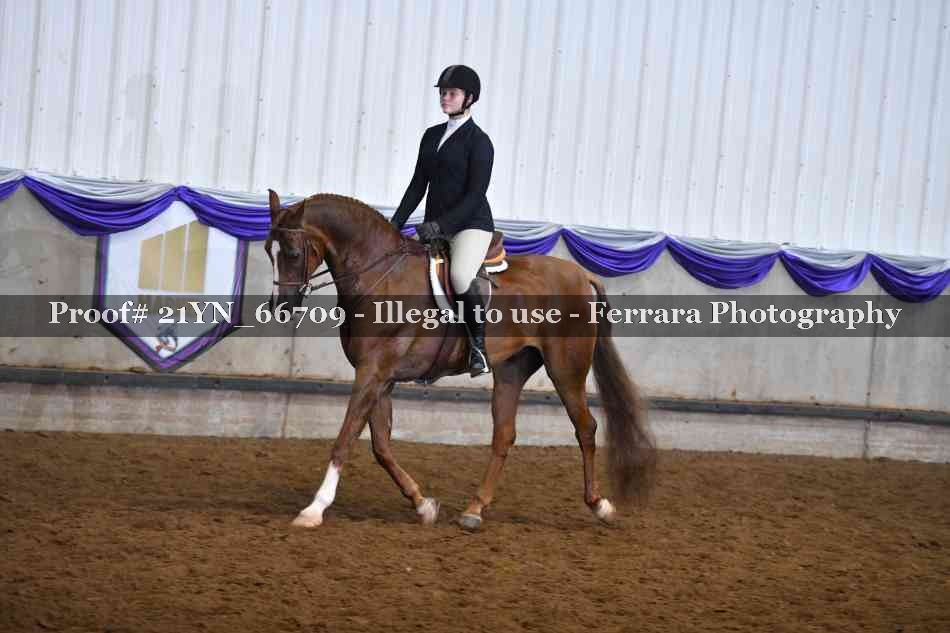 Proof 21YN_66709