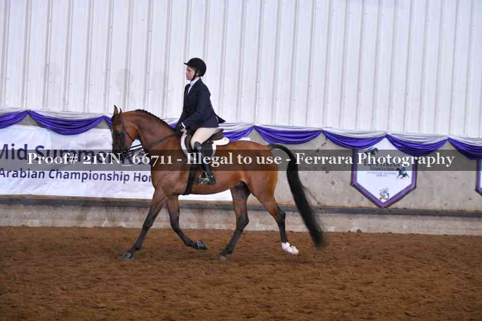 Proof 21YN_66711