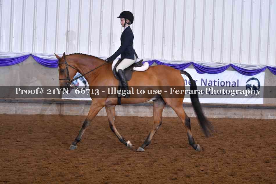 Proof 21YN_66713