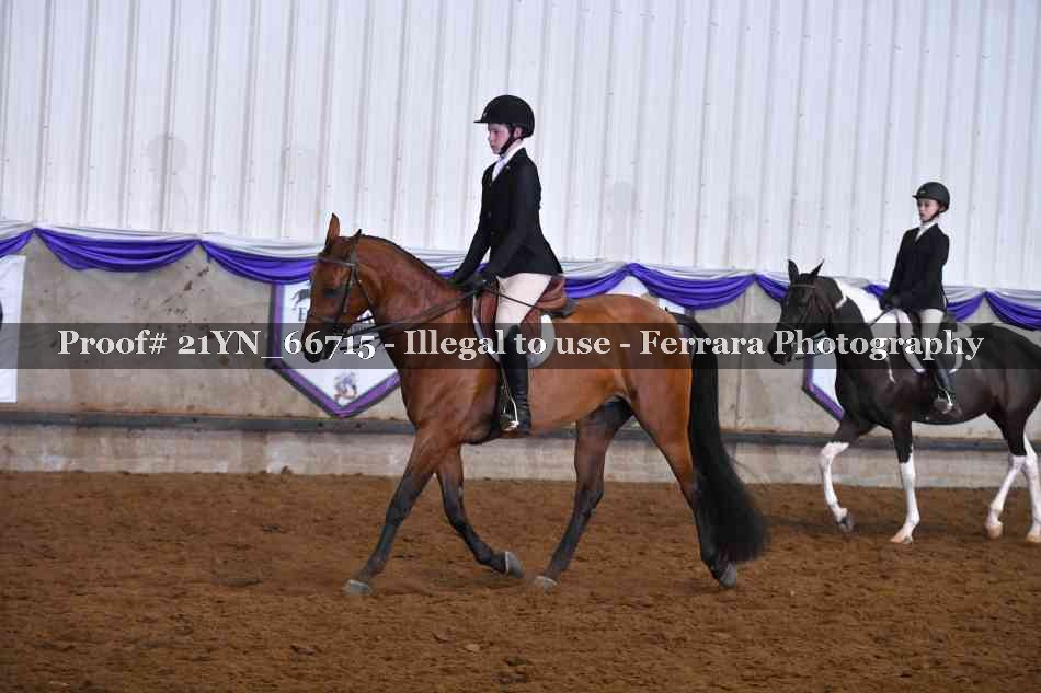 Proof 21YN_66715