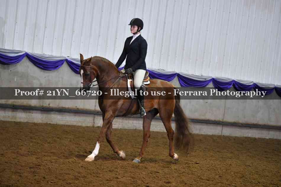 Proof 21YN_66720