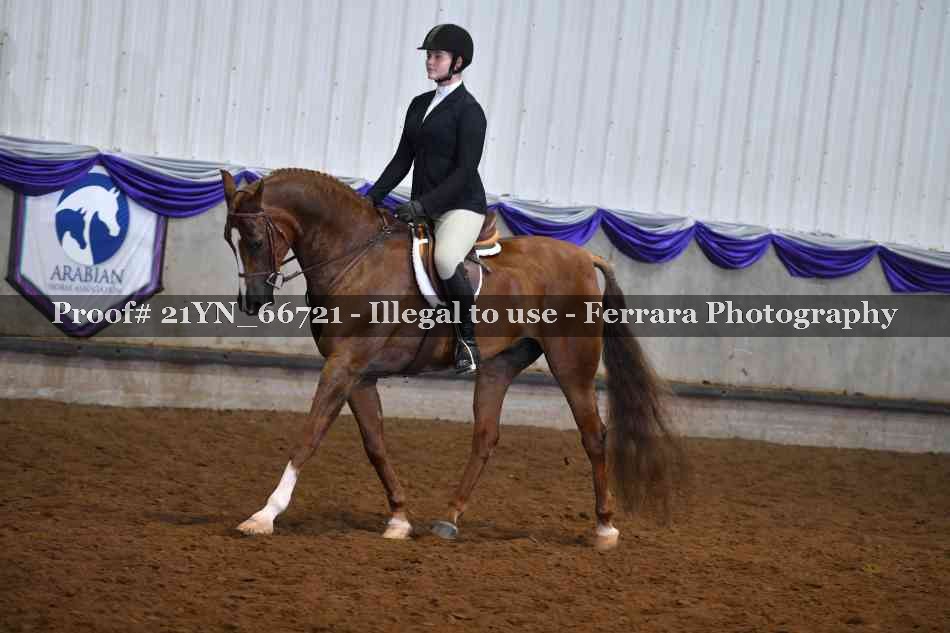 Proof 21YN_66721