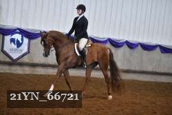 21YN_66721 proof