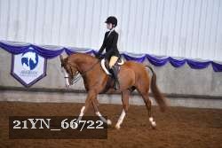 21YN_66722 proof