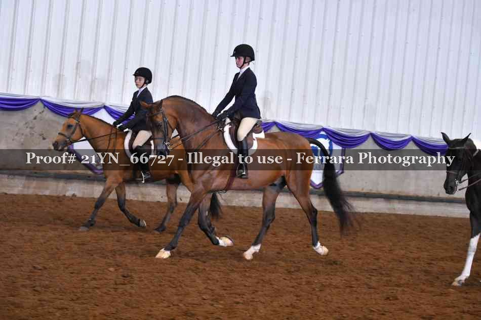 Proof 21YN_66727