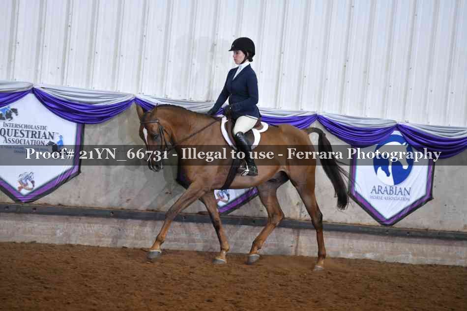Proof 21YN_66731