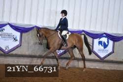 21YN_66731 proof