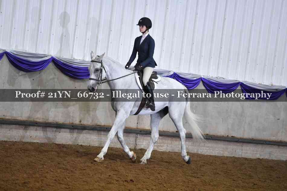 Proof 21YN_66732