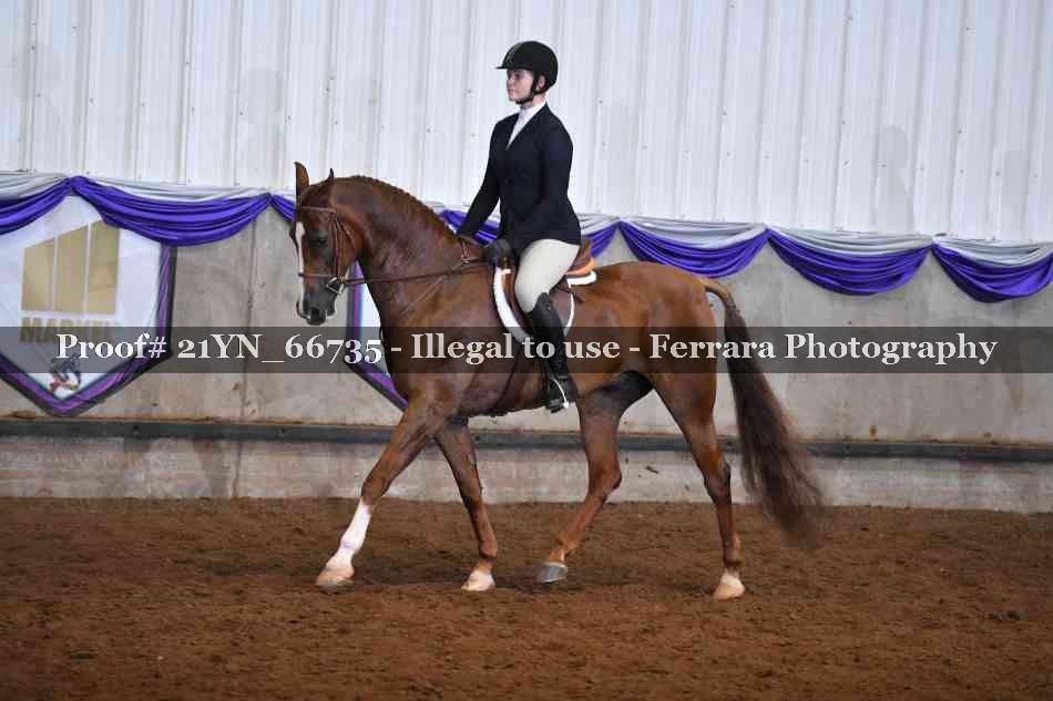 Proof 21YN_66735
