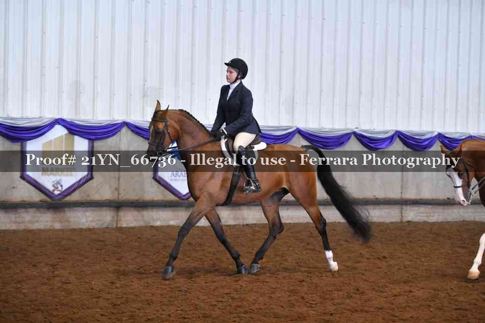 Proof 21YN_66736