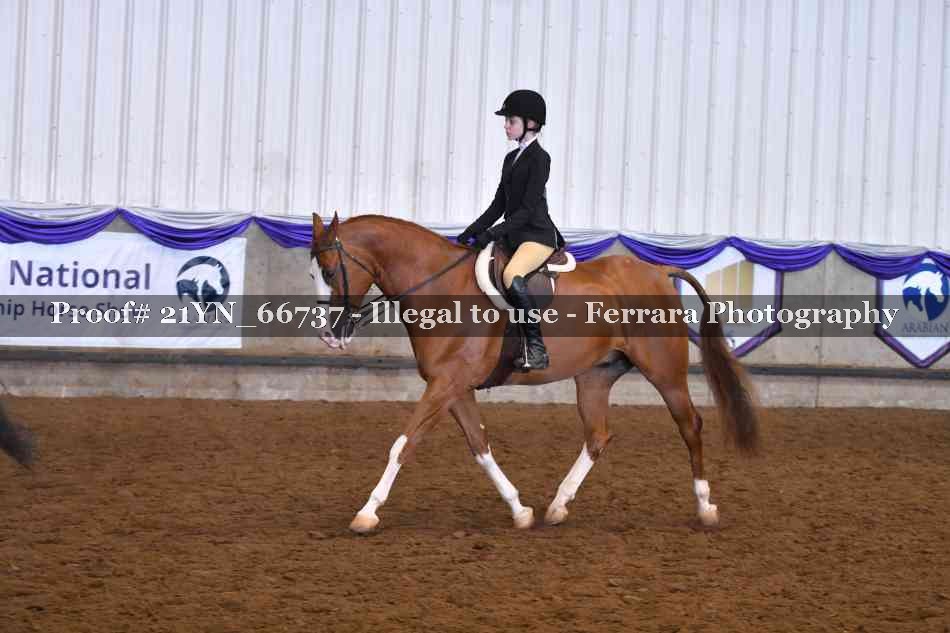 Proof 21YN_66737
