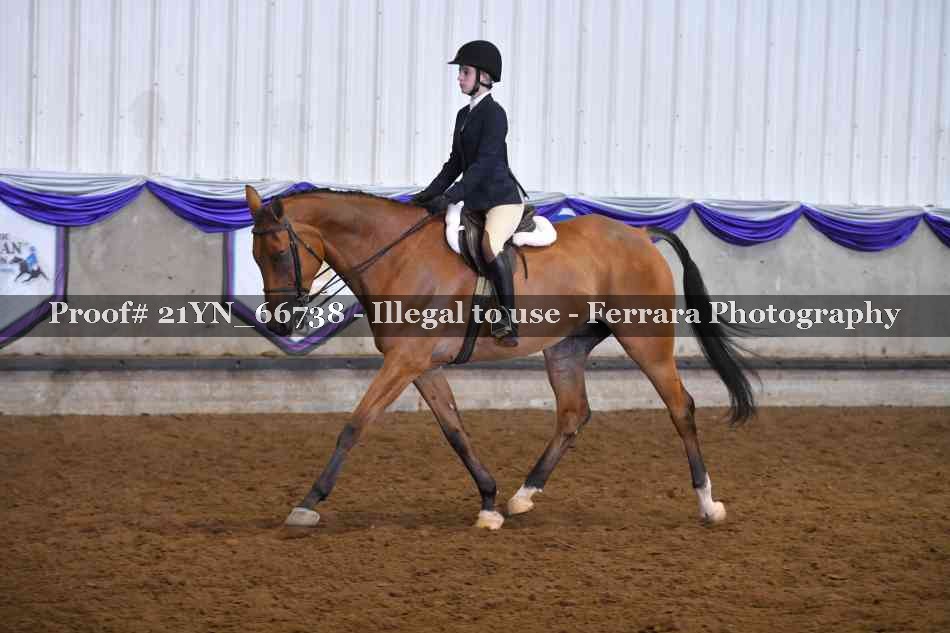 Proof 21YN_66738