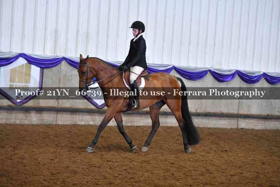 Proof 21YN_66739