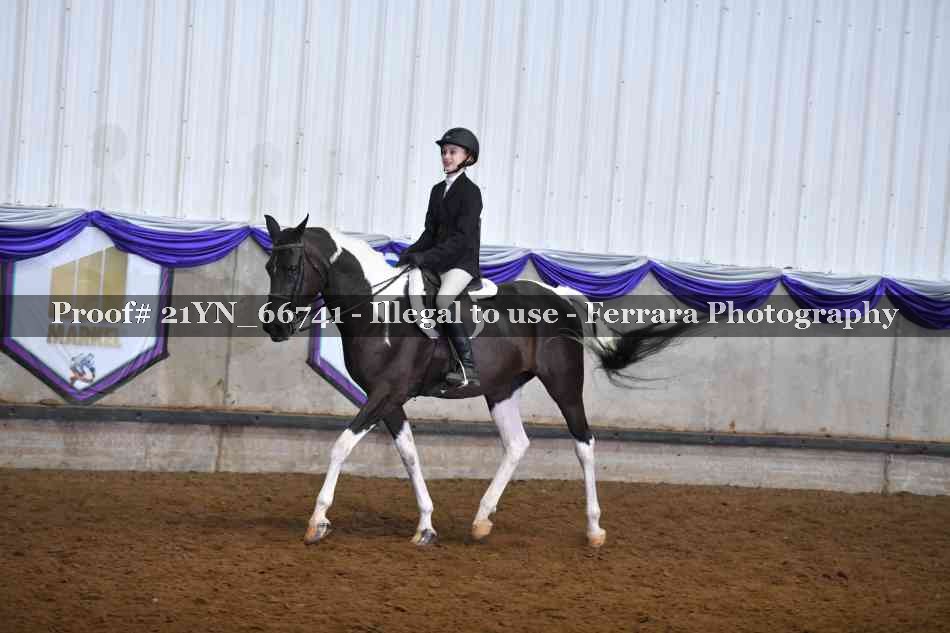 Proof 21YN_66741