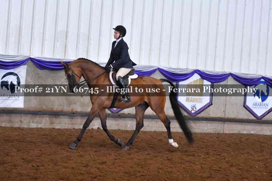 Proof 21YN_66745