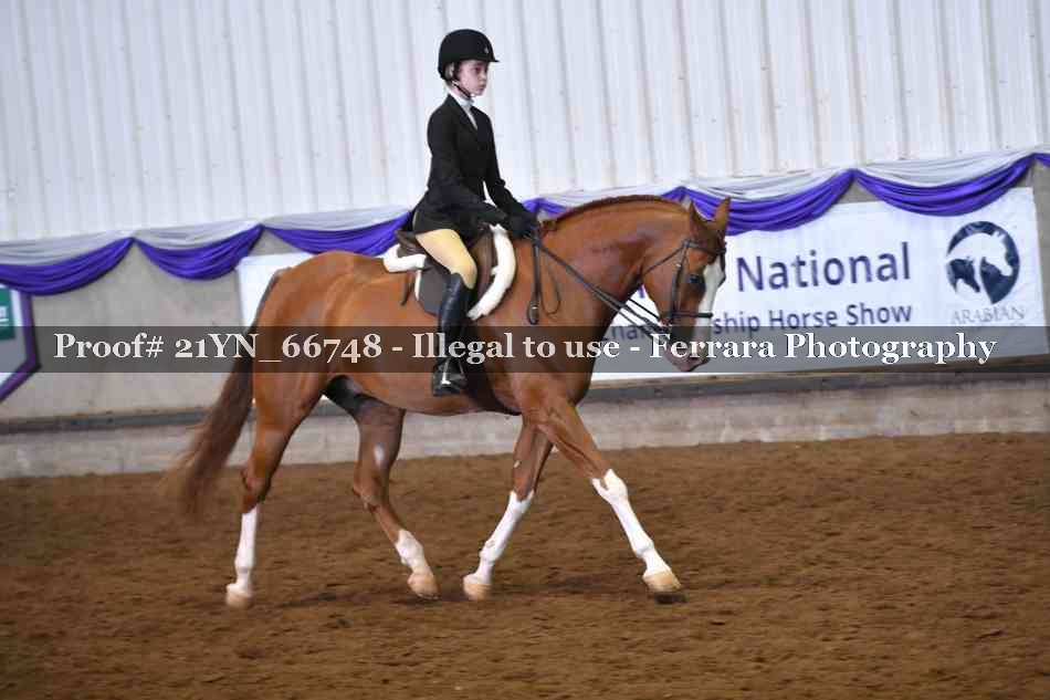 Proof 21YN_66748