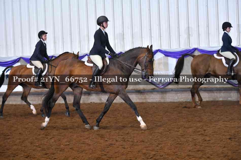 Proof 21YN_66752