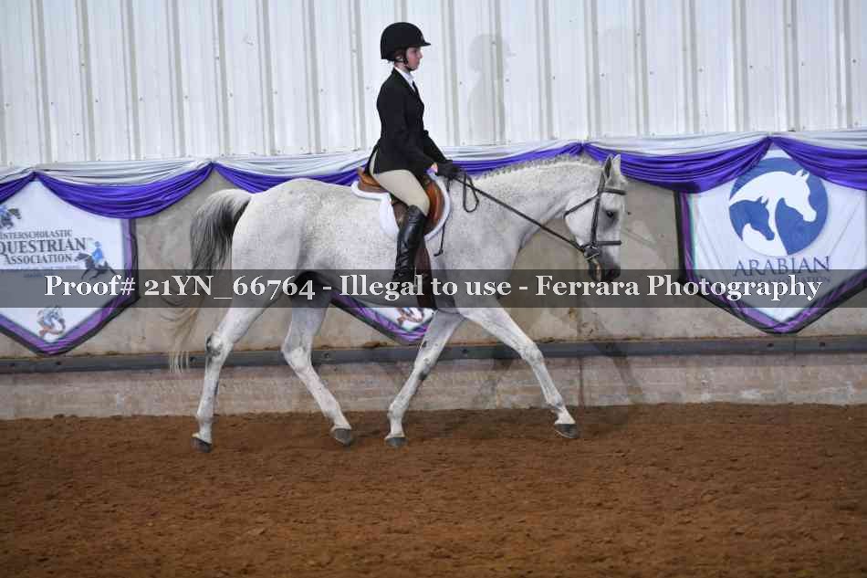 Proof 21YN_66764