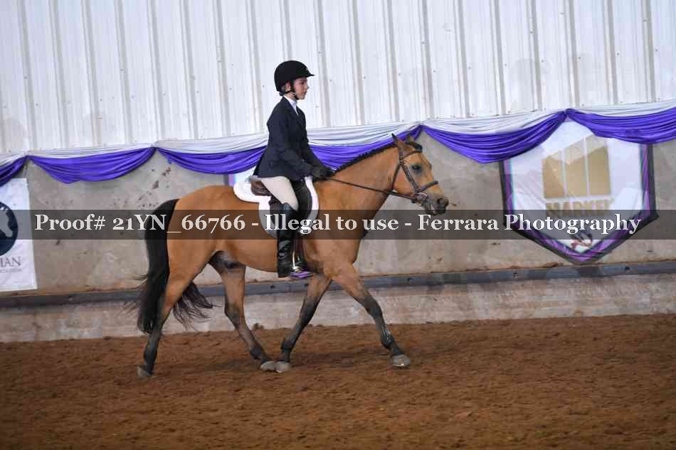 Proof 21YN_66766